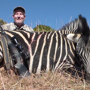 Hunt Zebra in South Africa