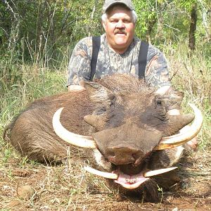 South Africa Warthog Hunt