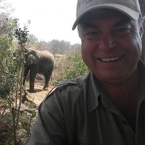 Nature South Africa Elephant
