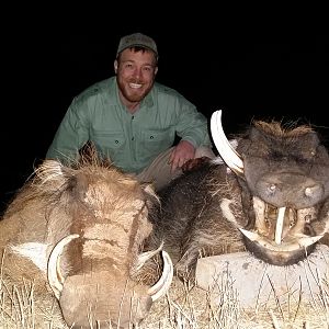 South Africa Warthog Hunt