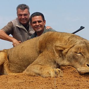 Hunting Lioness in South Africa