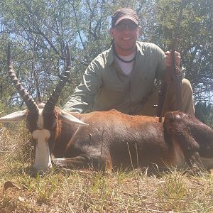 Hunting Blesbok South Africa