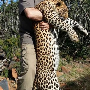 Leopard Hunting In South Africa