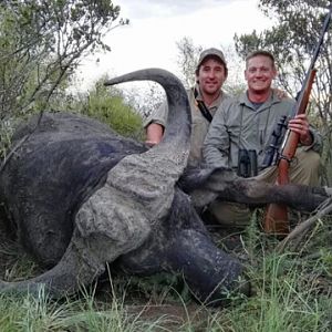 Hunting Buffalo South Africa