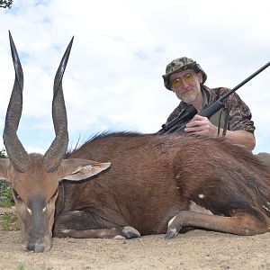 Bushbuck  Hunting South Africa