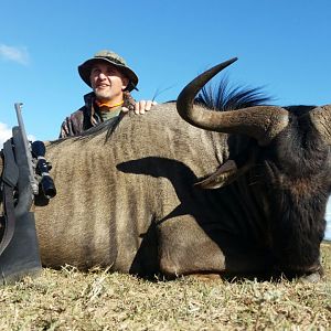 South Africa Blue Wildebeest Hunting