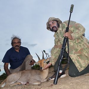 Mountain Reedbuck South Africa Hunting