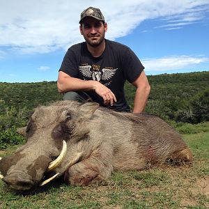 South Africa Warthog Hunt