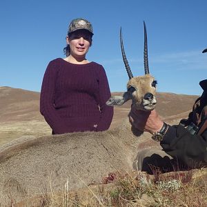 South Africa Grey Rhebok Hunt