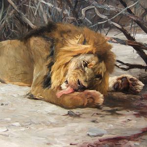 "The MANEATER"  Artist Wilhelm Kuhnert