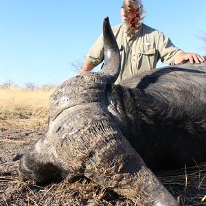 Buffalo Hunting Namibia