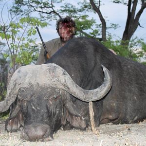 Namibia Buffalo Hunting