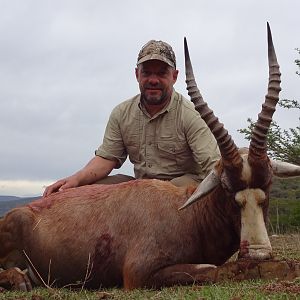 Hunting Blesbok South Africa