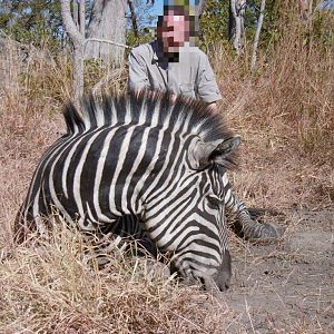 Hunt Zebra