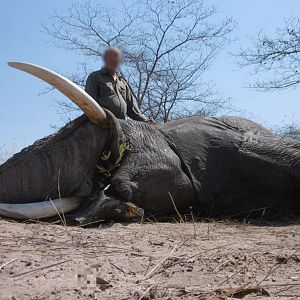 Namibia Hunting Elephant