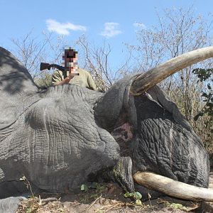 Namibia Hunting Elephant