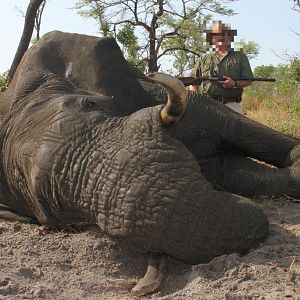 Namibia Hunting Elephant