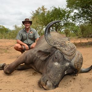 Hunting Buffalo South Africa