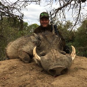 South Africa Warthog Hunt