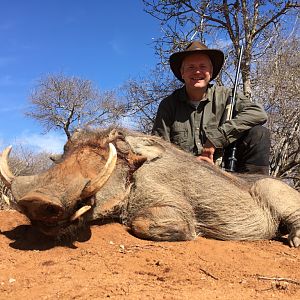 South Africa Warthog Hunt