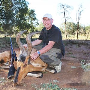 Red Hartebeest Hunt South Africa