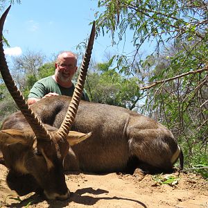 Waterbuck South Africa Hunt