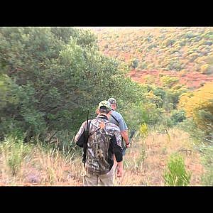 Bos en Dal Hunting Safaris in South Africa