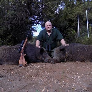 South Africa Boar Hunting