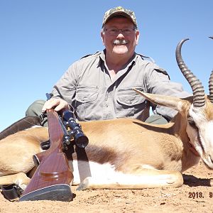 Common springbuck