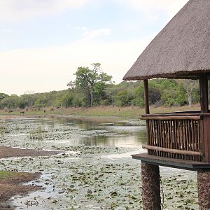 View from Bushbuck Lodge Pro Hunting Safaris