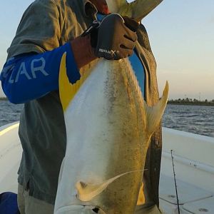 Fishing Tarpon