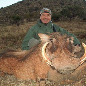 Warthog Hunt