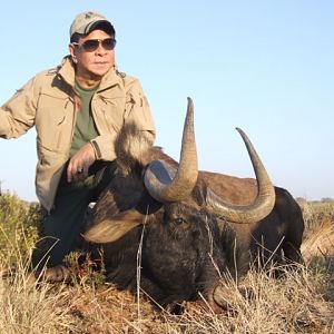 Hunt Black Wildebeest