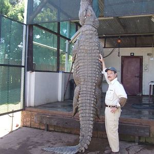 Hunt Crocodile