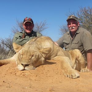 Lioness Hunt