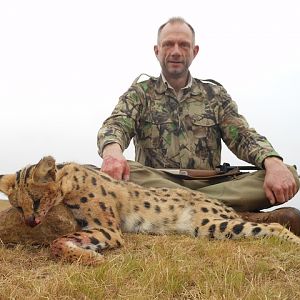 Serval Cat Hunt