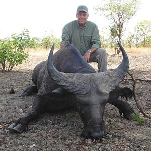 West African Savanna Buffalo