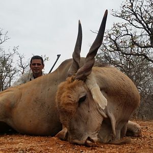 South Africa Hunting Eland