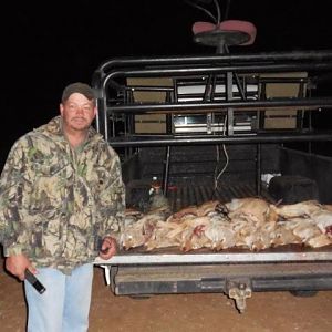 Jackal Culling & Varmint hunting South Africa