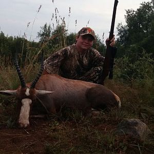 Cull Hunting Blesbok South Africa