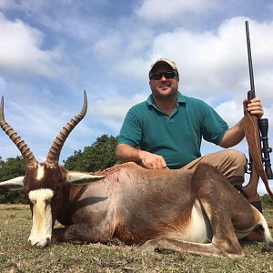 Hunting Blesbok South Africa