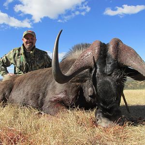 Hunt Black Wildebeest South Africa