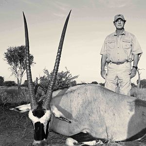 Gemsbok Bull