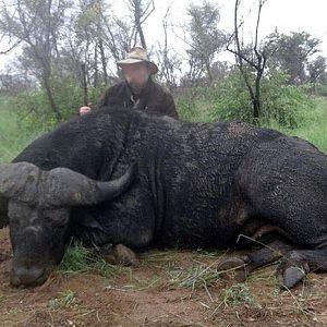 Hunting Cape Buffalo