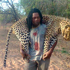 Leopard Hunt