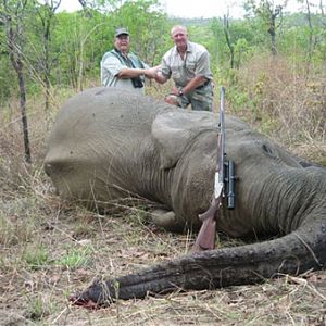Tuskless Elephant Hunt