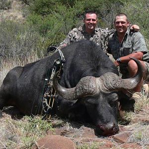 Bow Hunting Buffalo