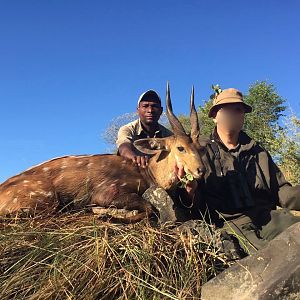 Bushbuck  Hunting