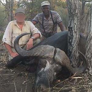 Cape Buffalo Hunt