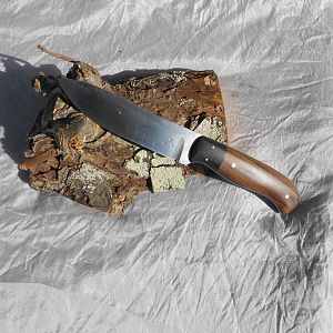 Hunter Skinner Knife in Walnut & Ebony
